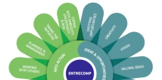 Developing students’ entrepreneurial skills