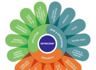 Developing students’ entrepreneurial skills