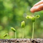 This is a venture creation program