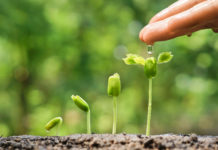 This is a venture creation program