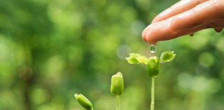 This is a venture creation program