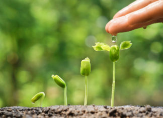 This is a venture creation program