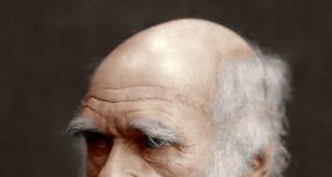 VCP List expands and gets new layout and classification