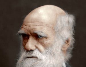 VCP List expands and gets new layout and classification